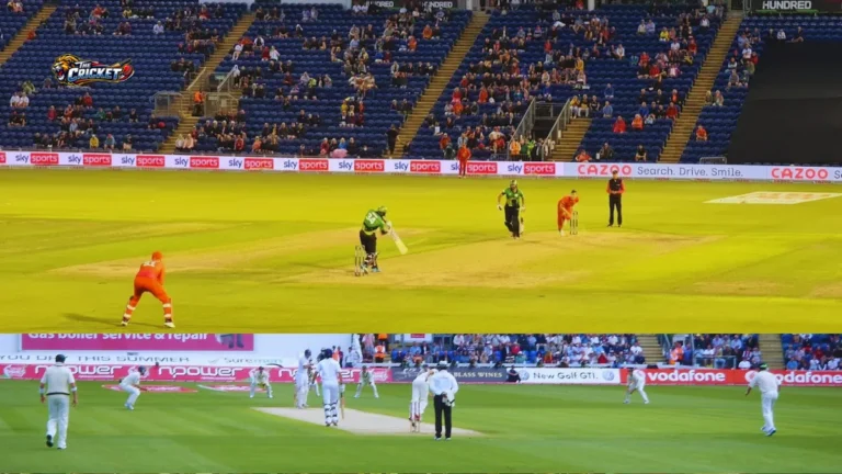 Sophia Gardens Pitch Report