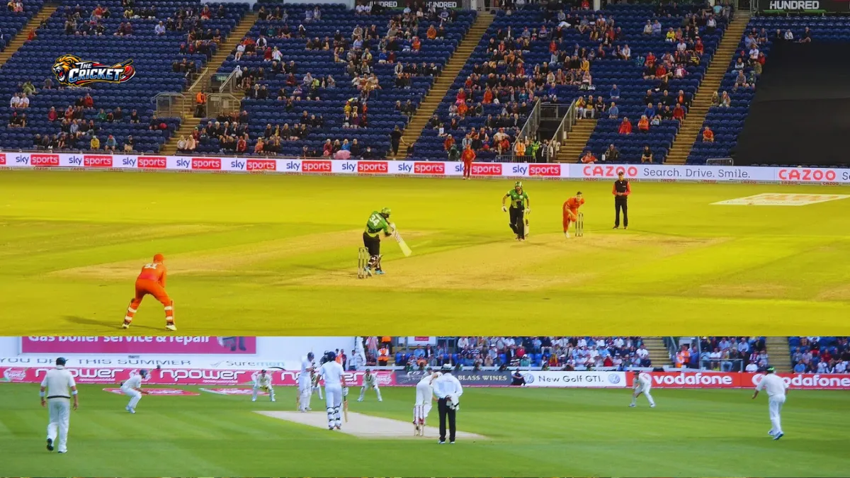 Sophia Gardens Pitch Report